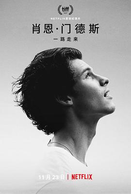 肖恩·门德斯:一路走来海报